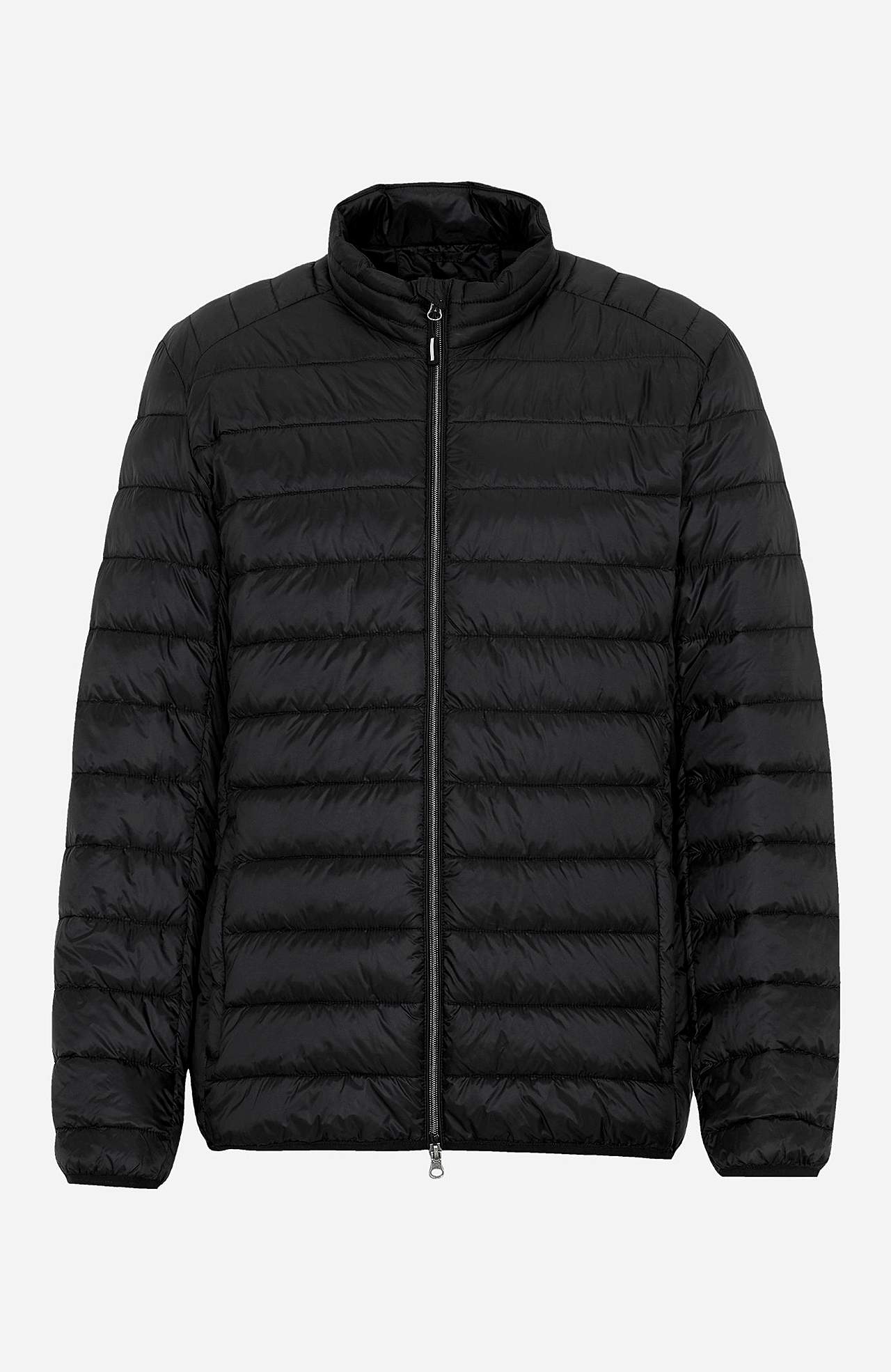 Gepolsterte leichte Jacke perfekt für den Herbst