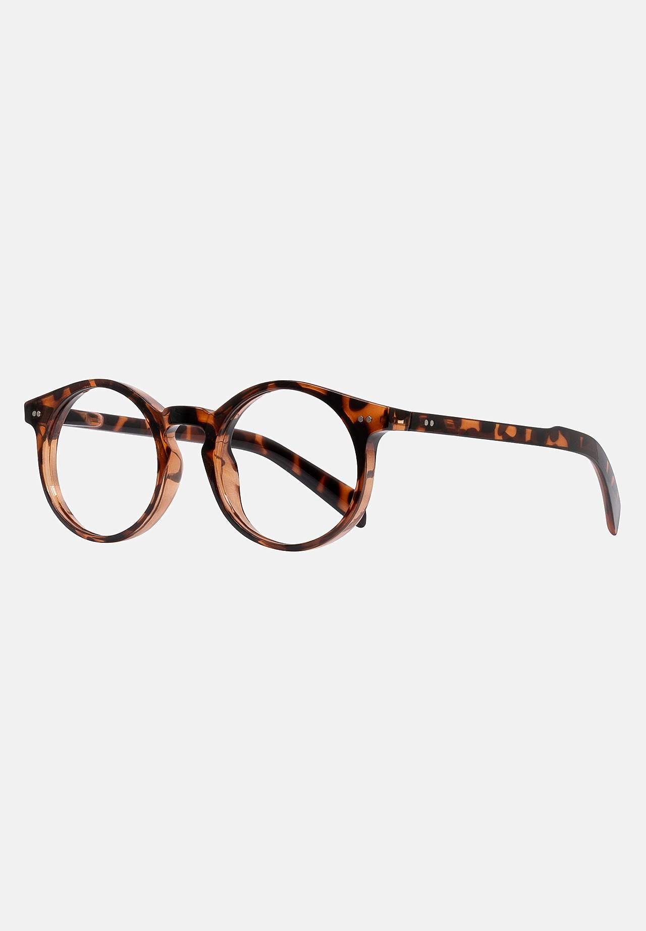 Lesebrille mit Hülle